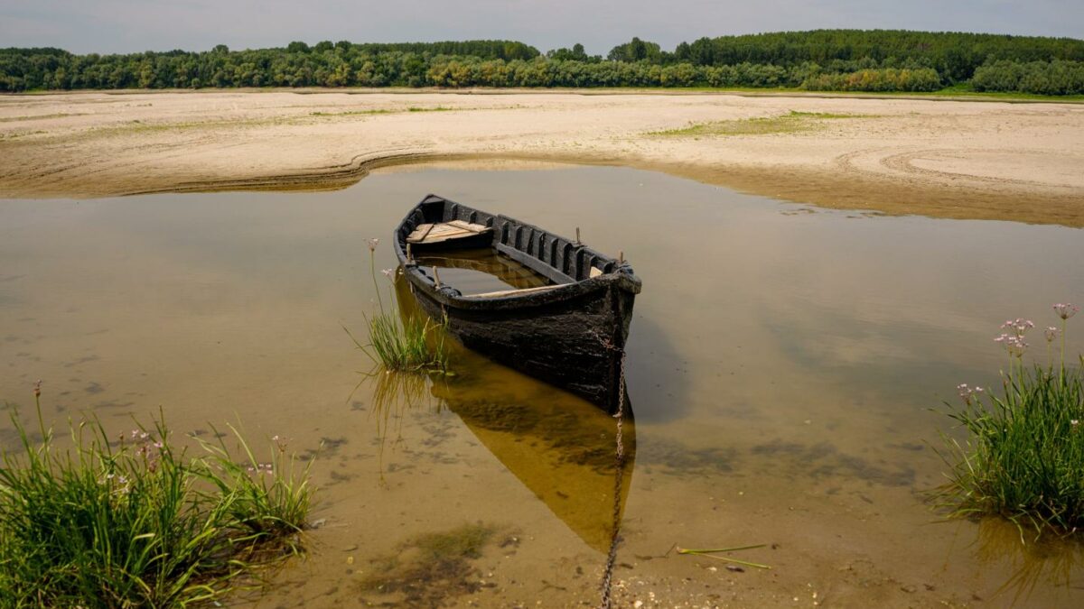 The Danube is running dry, and Europe’s power grid is suffering as a result