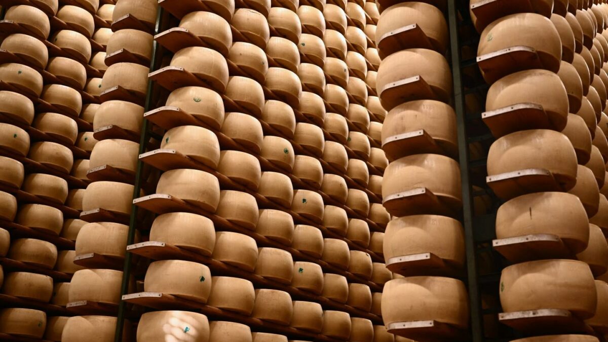 Wheels of Parmigiano Reggiano cheese on shelves